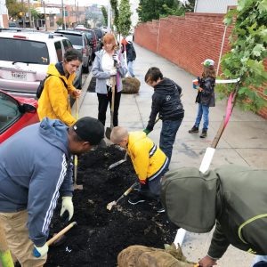 tree-planting-5-square